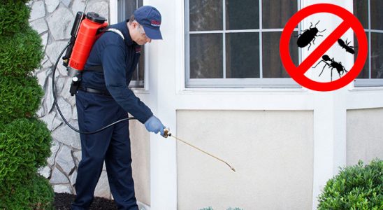 Kelkit Dezenfeksiyon böcek ilaçlama ve haşere kontrolü — ilaclama-tr.com